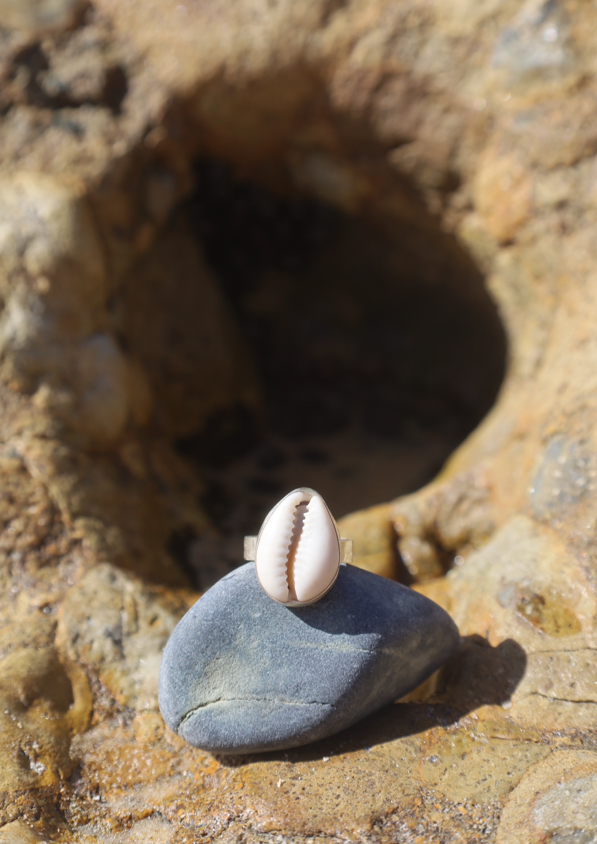 Cowrie Shell Ring