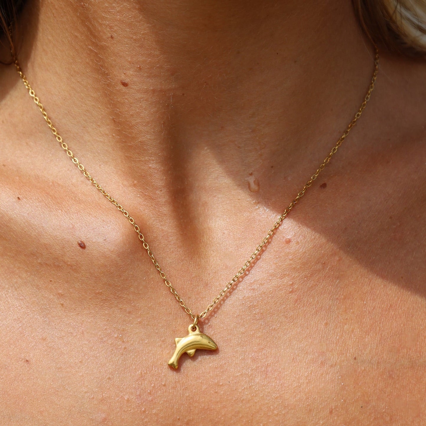 Dolphin Necklace