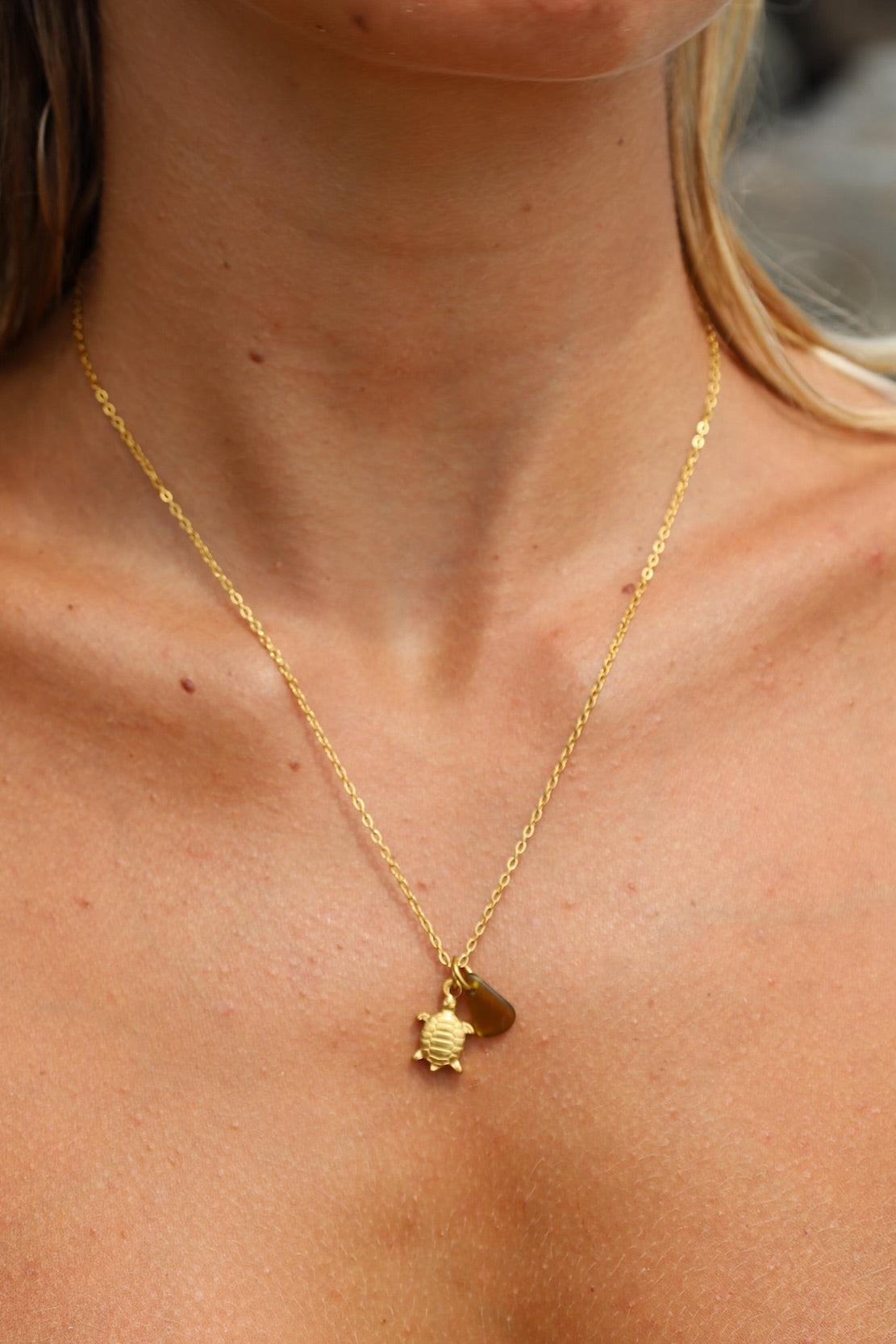 Turtle Necklace