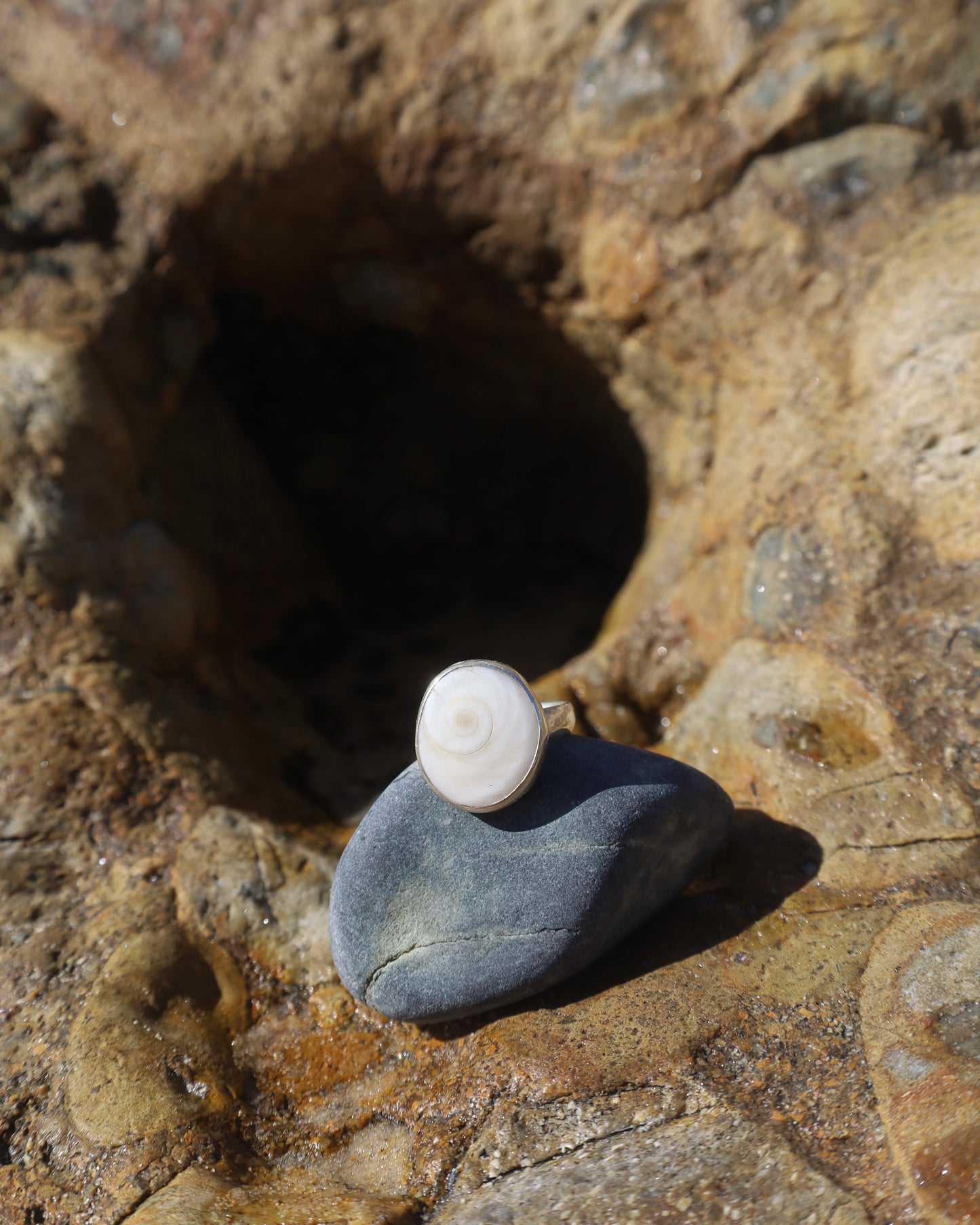 Chunky Operculum Ring