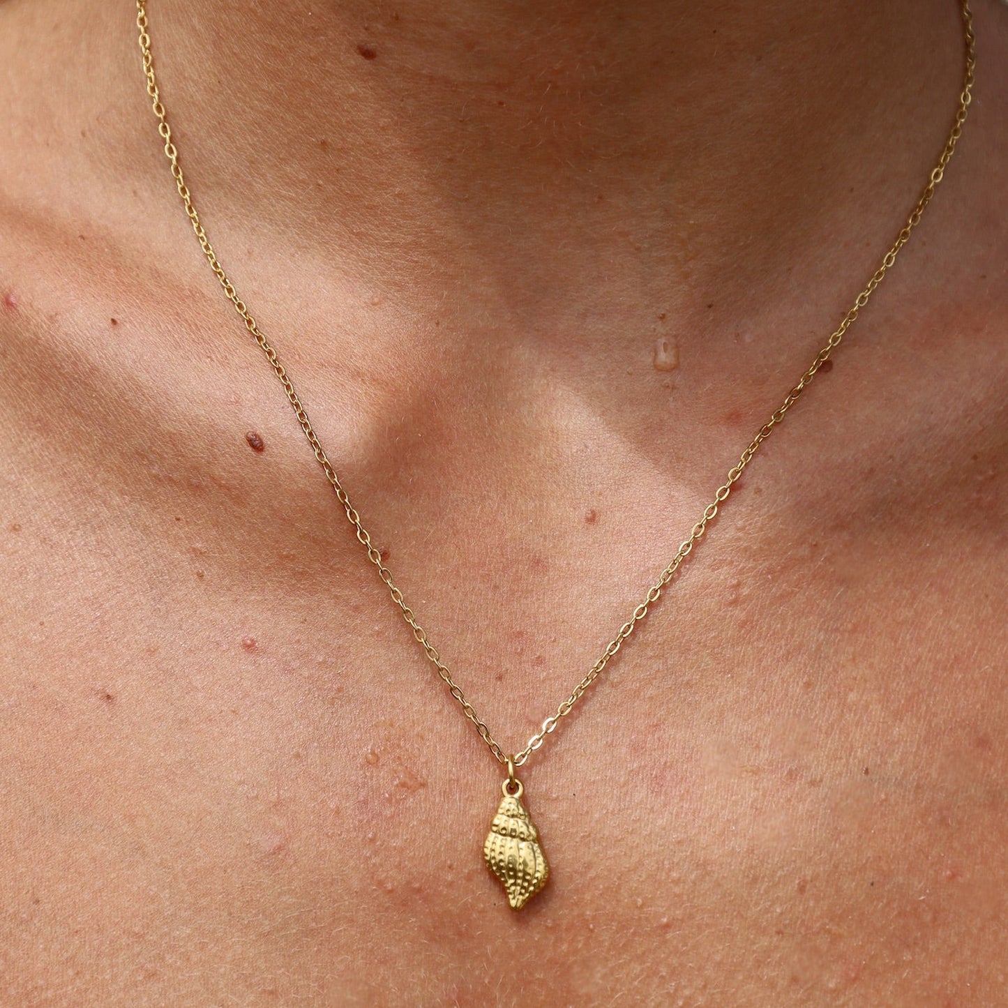 Conch Shell Necklace